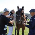 В Сузуне в 25-й раз прошли конные соревнования: спикер Шимкив поздравил участников